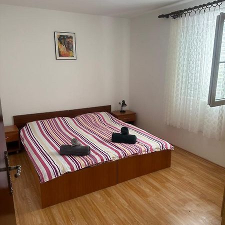 Apartmani Marko Novalja Bagian luar foto